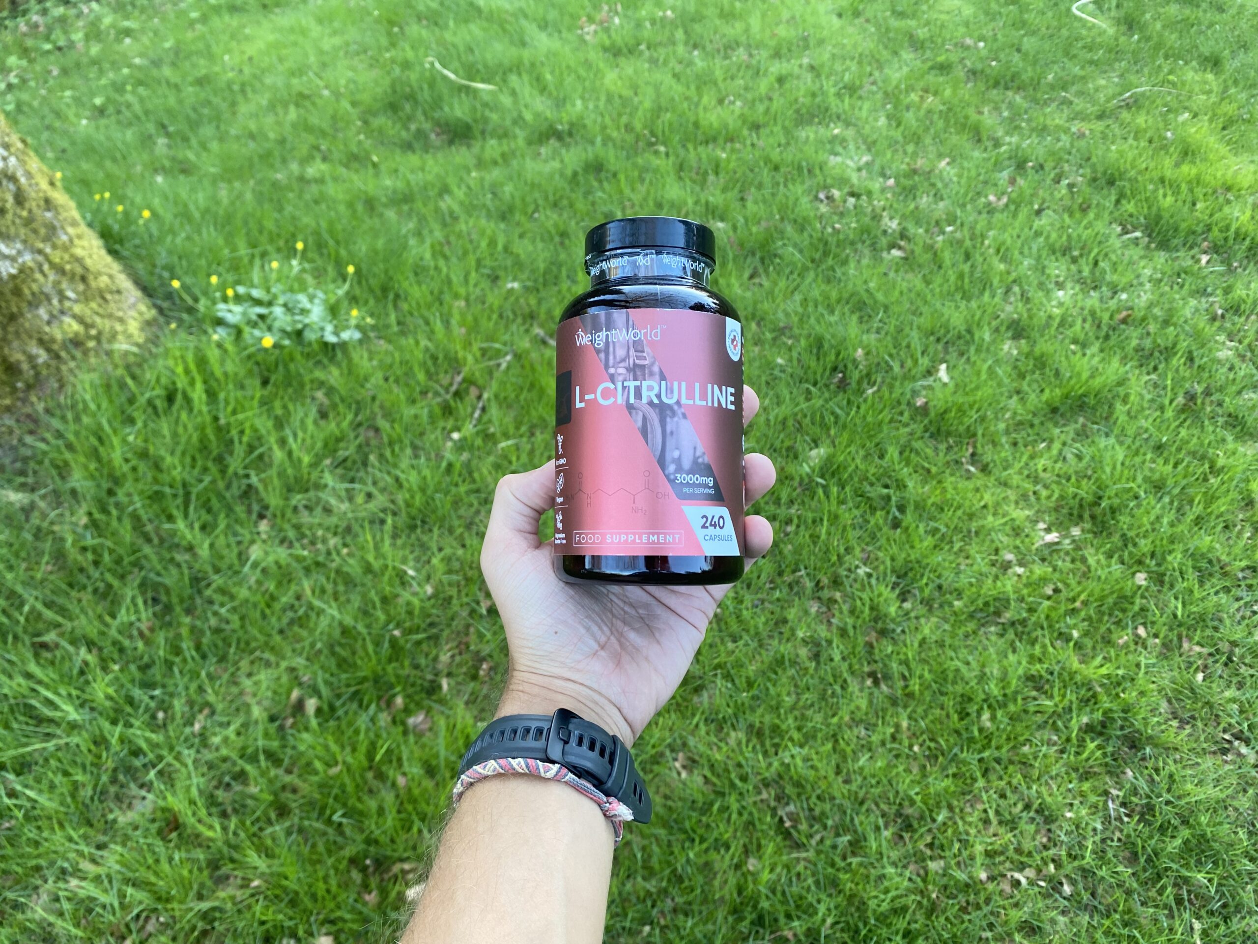 WeightWorld L-Citrulline - Græs i baggrund - Bred format