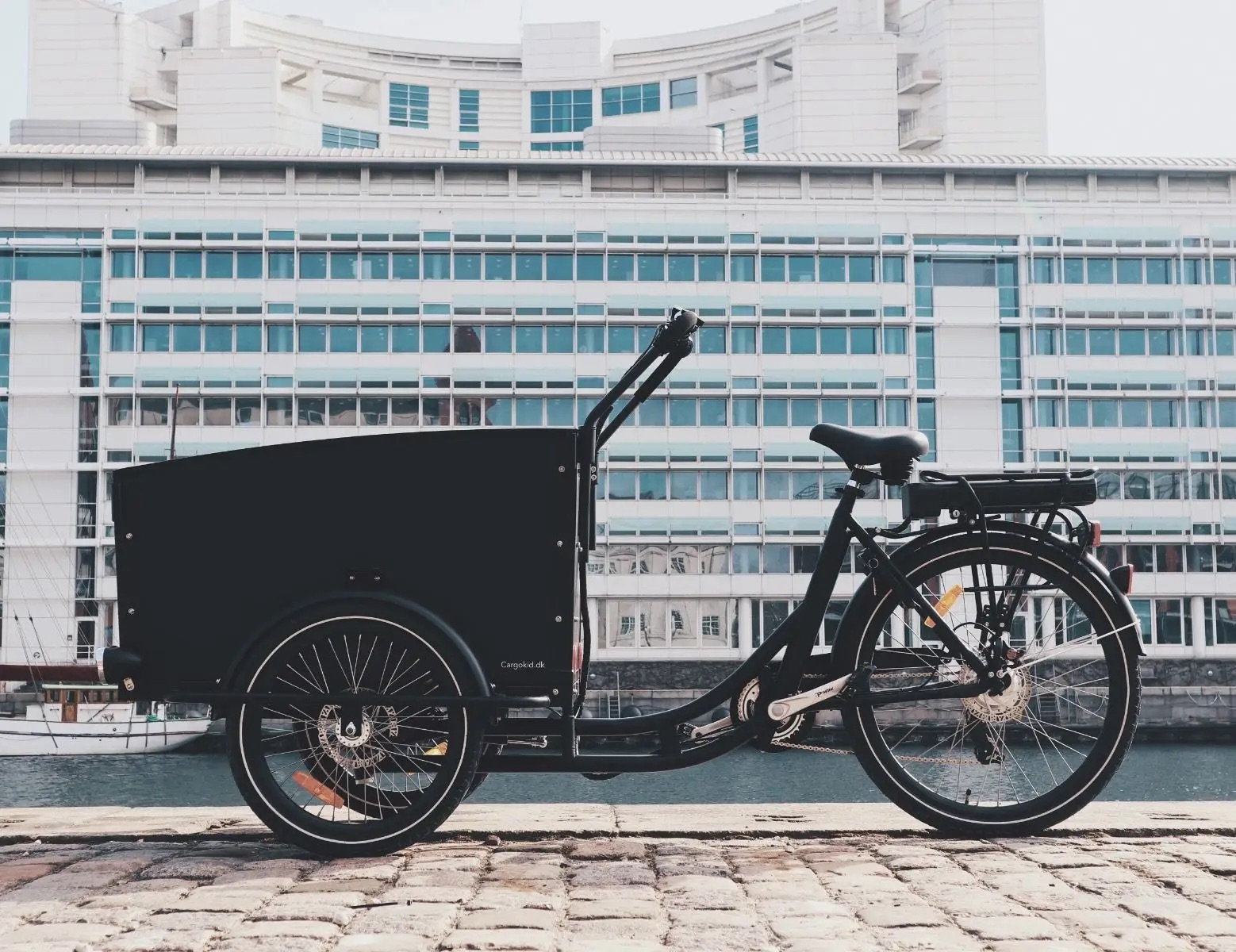 mobike-cargokid-economy-curve-master