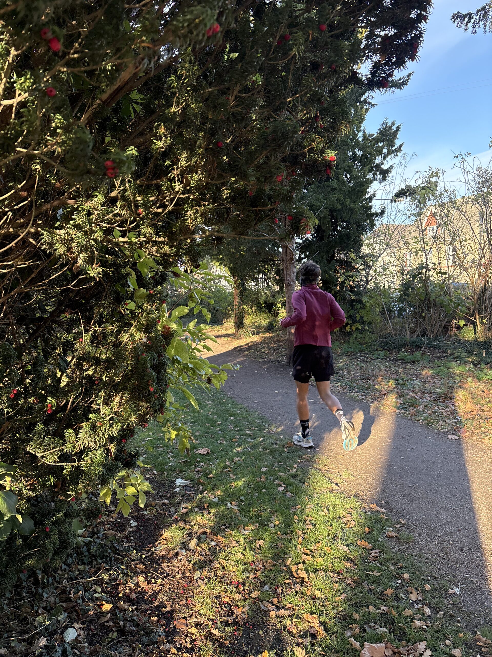 christian-loeber-i-liiteguard-glu-tech-loebeshorts-2-i-1