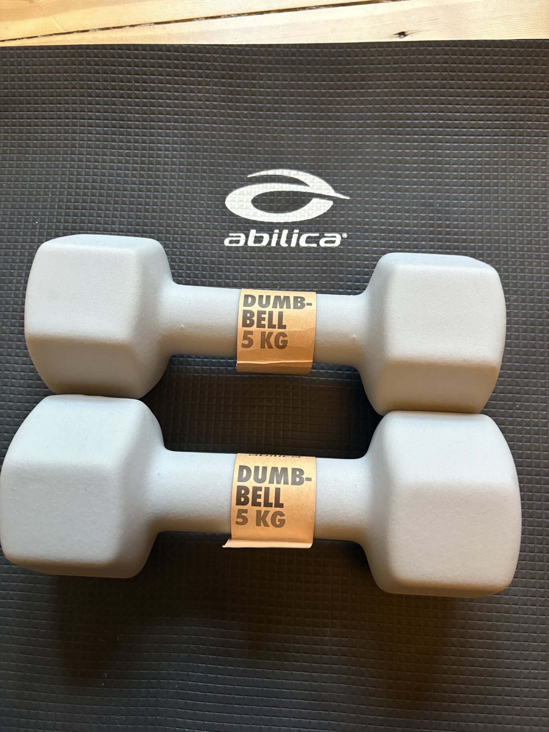abilica-neopren-dumbbell-5-kg-graa